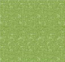 Fern Seeds By Cori Dantini