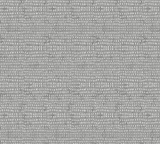 Grey Fog Seeds By Cori Dantini