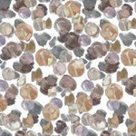 Darby By Blank Quilting 108" Wide Back