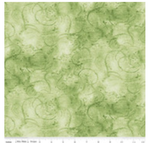 Swirl By Riley Blake 108" Wide Back